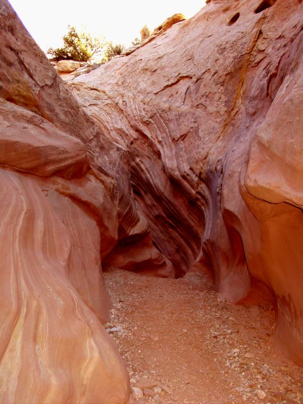 04160302LittleWildHorse (1113)